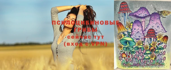 соль курить ск Армянск