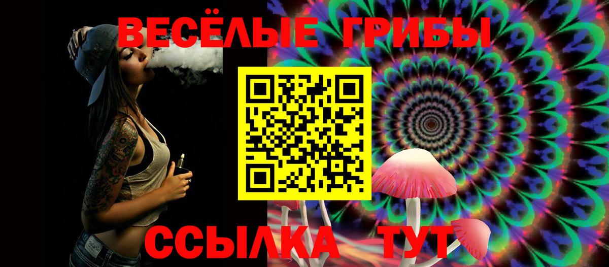 Невинномысск  Галлюциногенные грибы Cubensis  где найти наркотики  Вход с VPN  Галлюциногенные грибы мицелий 