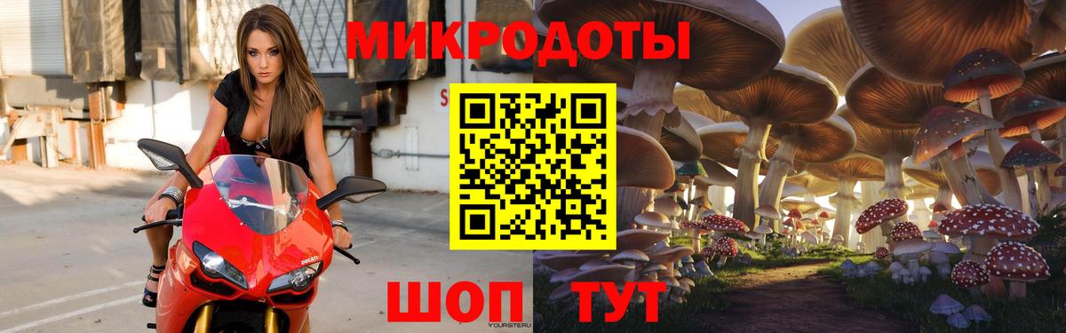 Псилоцибиновые грибы Psilocybe Невинномысск